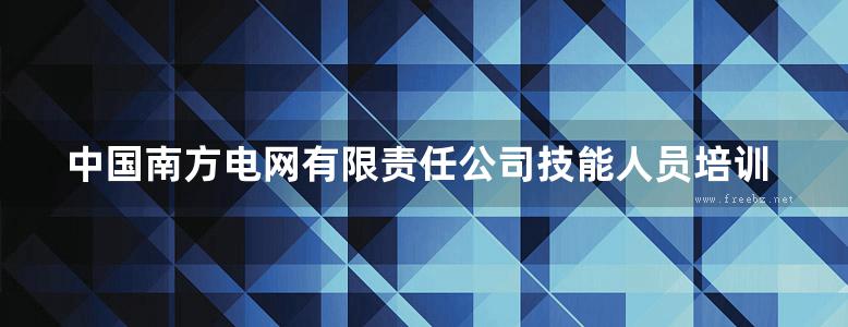 中国南方电网有限责任公司技能人员培训规范