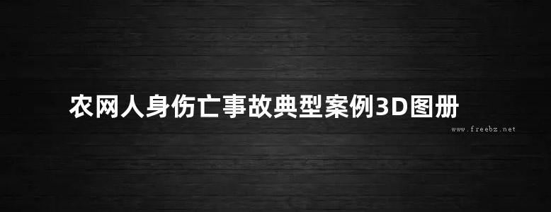 农网人身伤亡事故典型案例3D图册