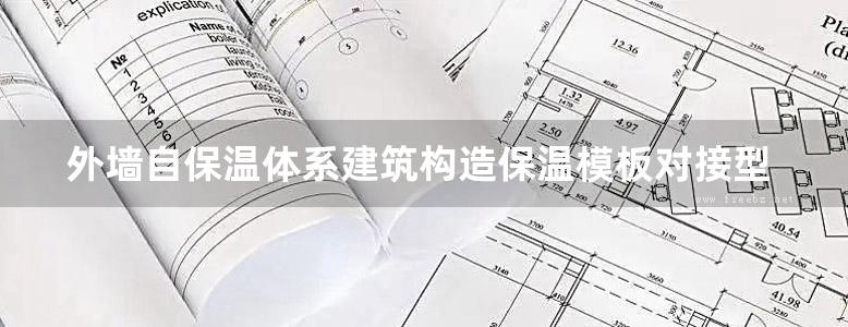 外墙自保温体系建筑构造保温模板对接型保温砌块