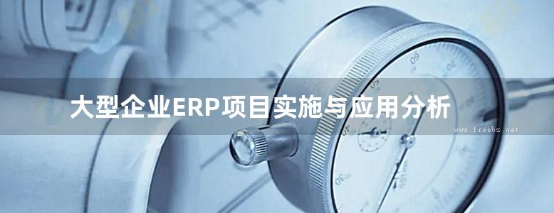 大型企业ERP项目实施与应用分析