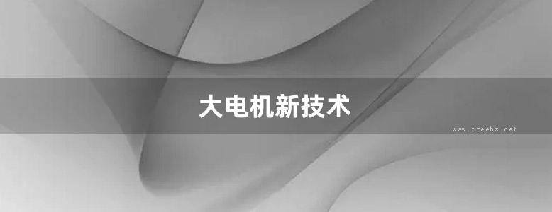 大电机新技术