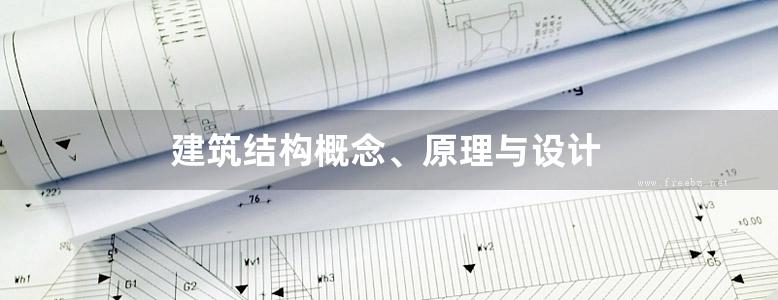 建筑结构概念、原理与设计