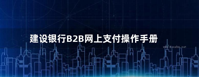 建设银行B2B网上支付操作手册