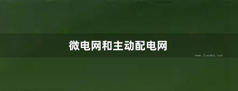 微电网和主动配电网