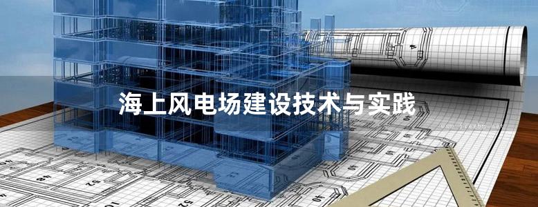 海上风电场建设技术与实践