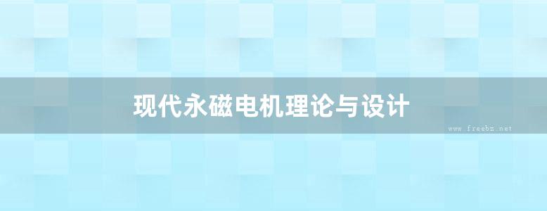 现代永磁电机理论与设计