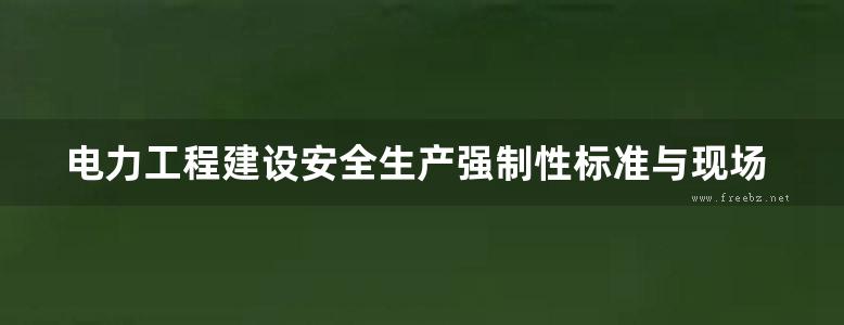 电力工程建设安全生产强制性标准与现场施工操作安全规程实务全书