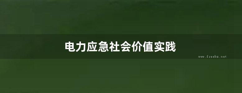 电力应急社会价值实践