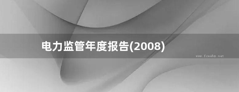 电力监管年度报告(2008)