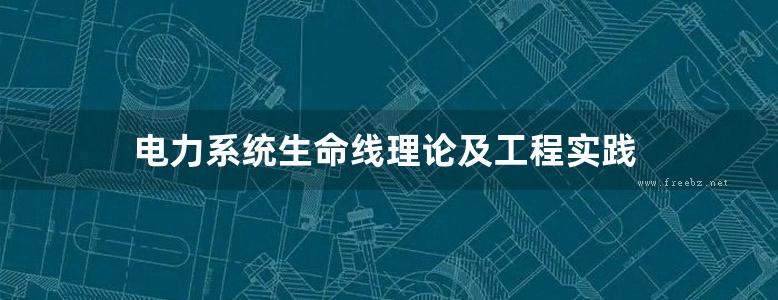 电力系统生命线理论及工程实践