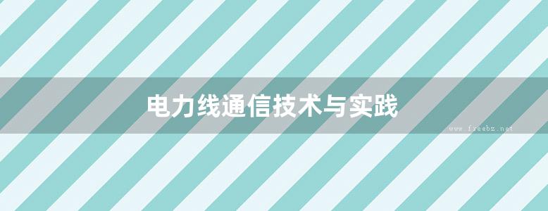 电力线通信技术与实践