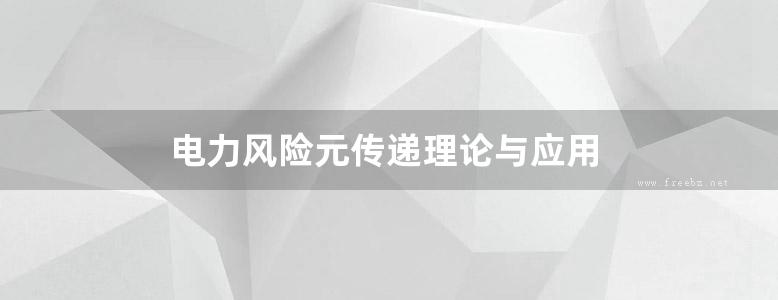 电力风险元传递理论与应用