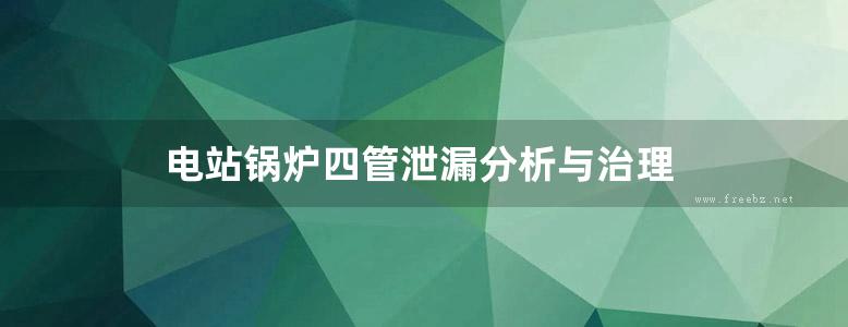 电站锅炉四管泄漏分析与治理