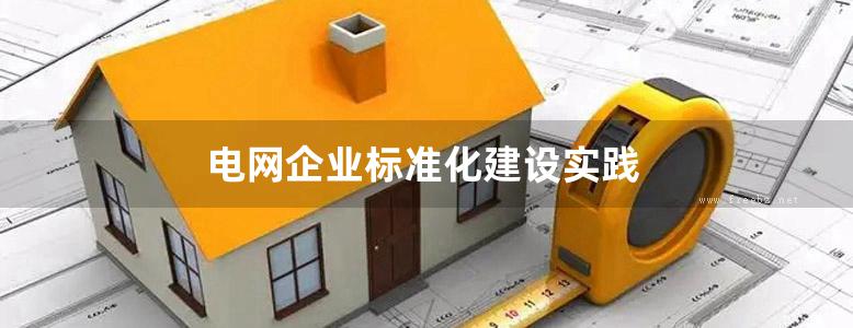 电网企业标准化建设实践