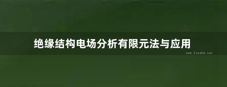 绝缘结构电场分析有限元法与应用